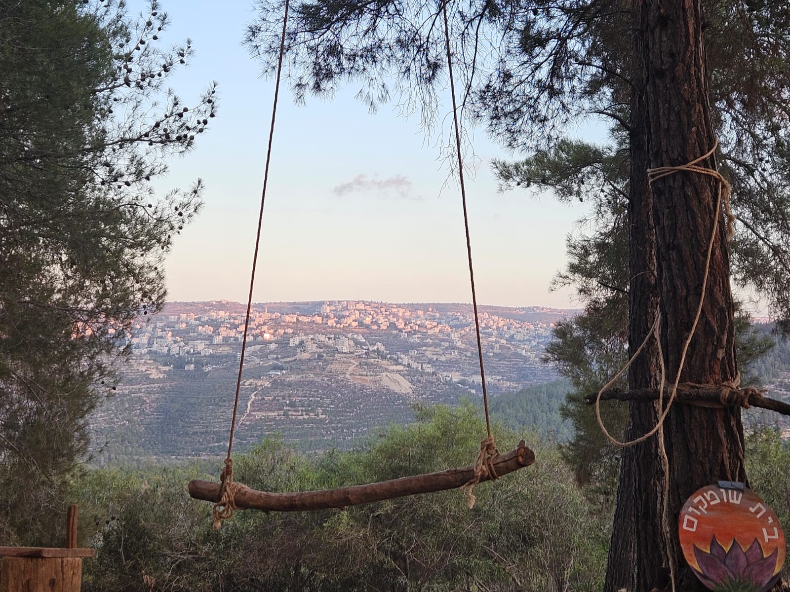 Tree Swing at Aminadav