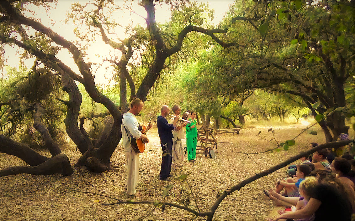Forest Theatre Performance