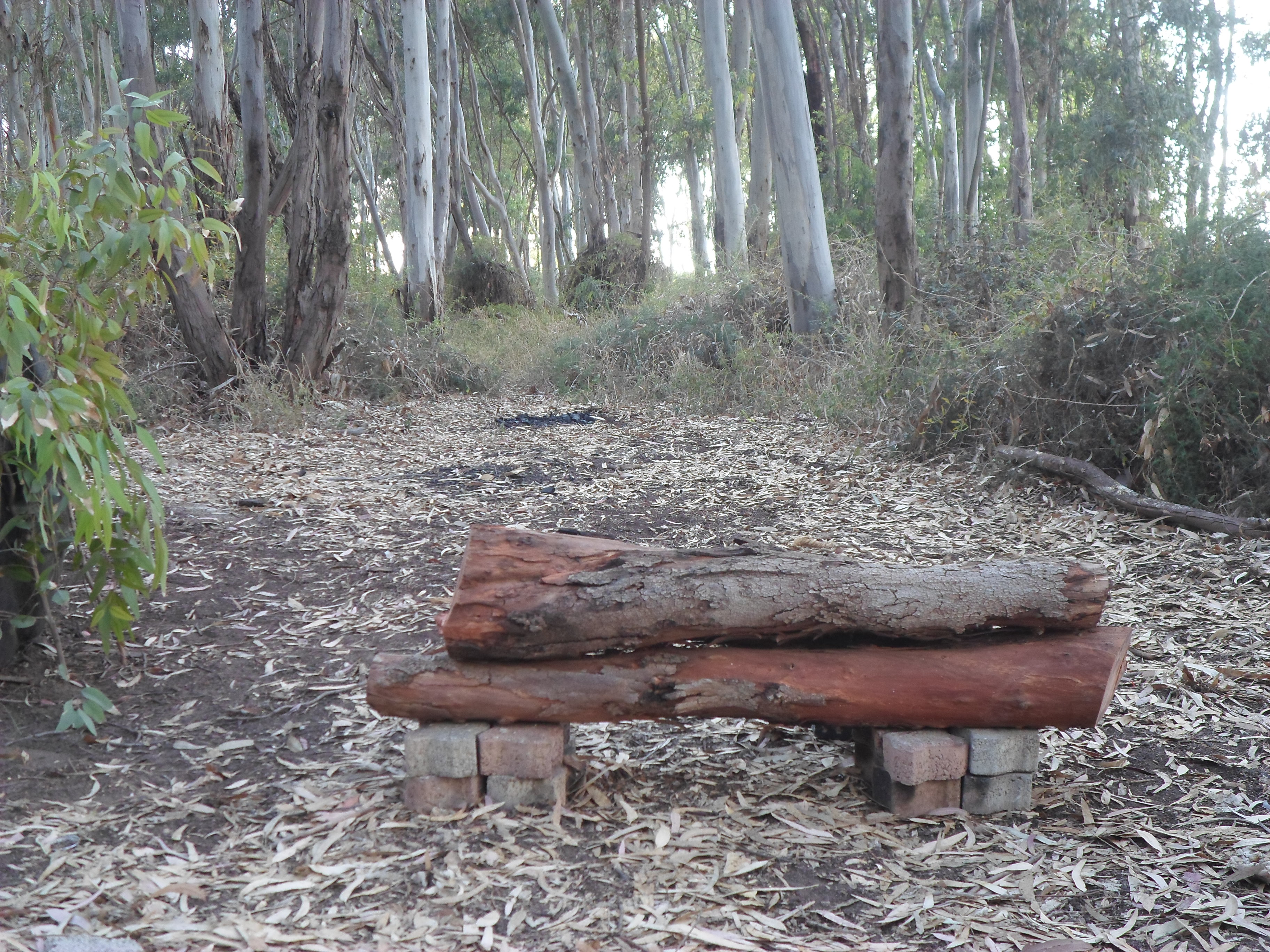 Eucalyptus Log Bench Olga