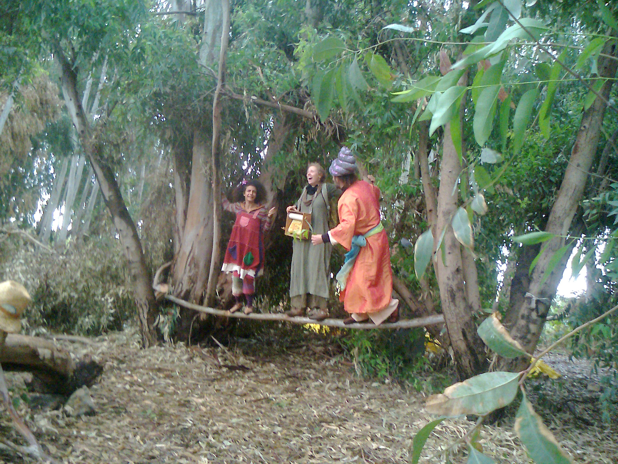 Eucalyptus Tree Bridge Stage